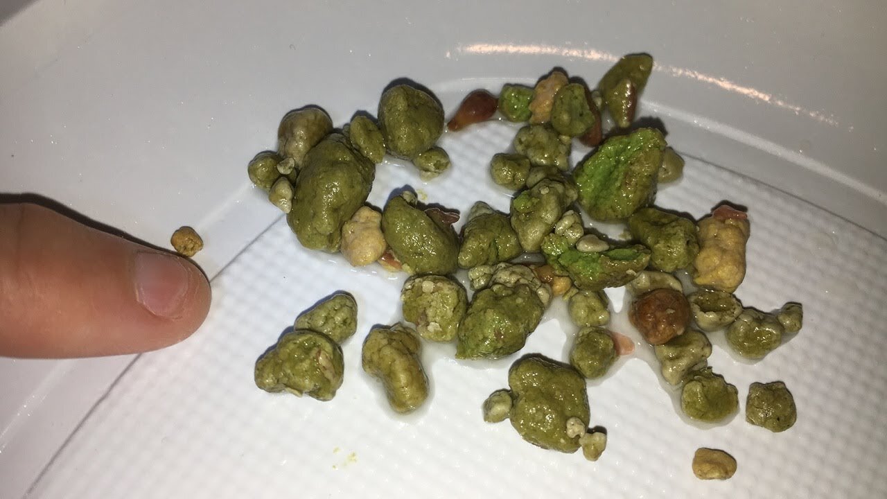 LA CANTIDAD DE LIMPIEZAS HEPATICAS QUE HAY QUE HACER PARA CURAR CADA ENFERMEDAD