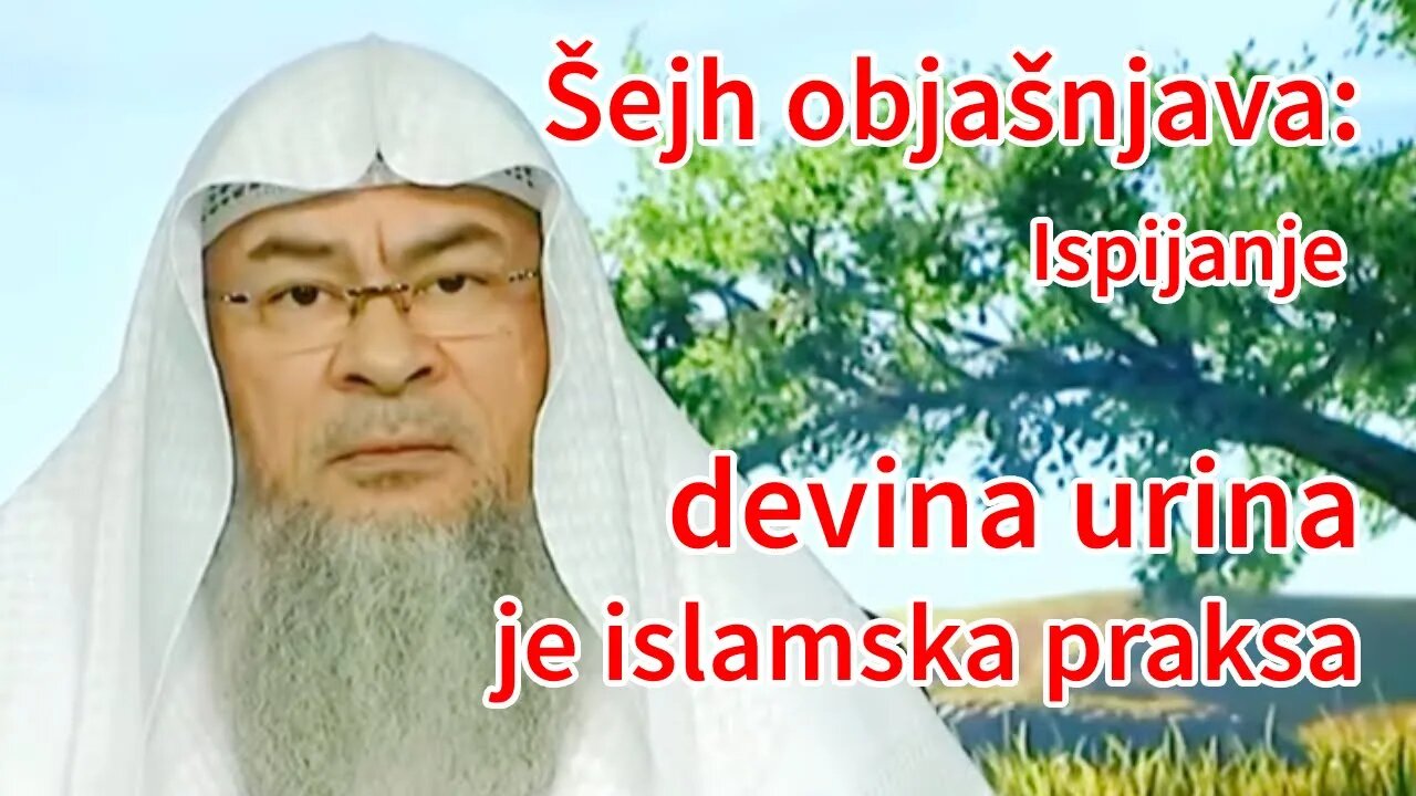 Šejh objašnjava - Ispijanje devina urina je islamska praksa | Pax Vobiscum