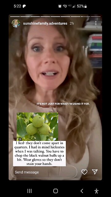 Black Walnut Tincture