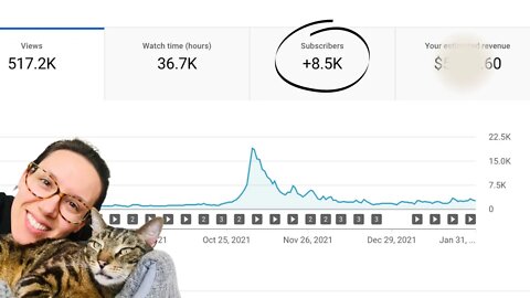 How much YouTube paid me first 6 months with 8.5K subscribers