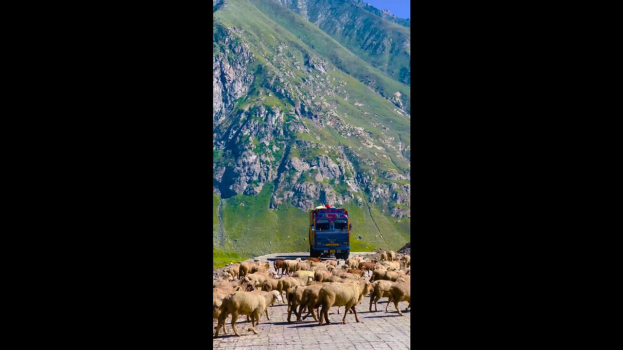Kasmeer view #trending