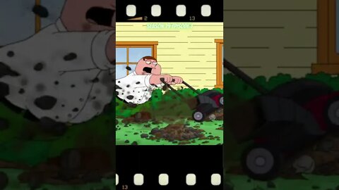 family guy #Shorts