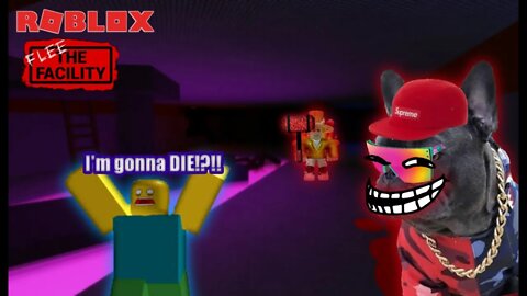 I tried ROBLOX: Flee The Facility and IT WAS SO FUNNY!?!