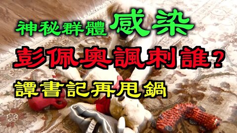 阿根廷「神秘集體感染」，彭佩奧嘲笑習近平.譚書記再甩鍋，閆麗夢爆料印證！川普終於出手了，重點在這裡……