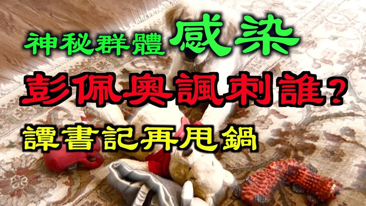 阿根廷「神秘集體感染」,彭佩奧嘲笑習近平.譚書記再甩鍋,閆麗夢爆料印證!川普終於出手了,重點在這裡……