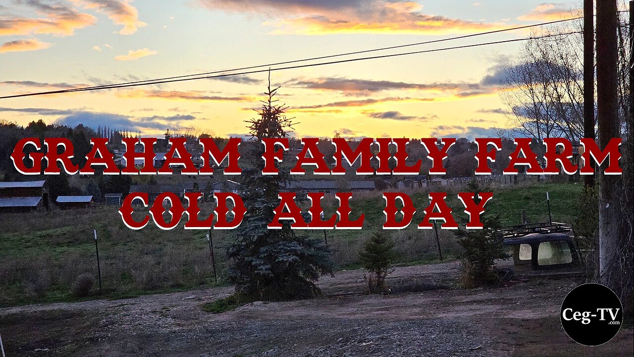 Graham Family Farm: Cold All Day