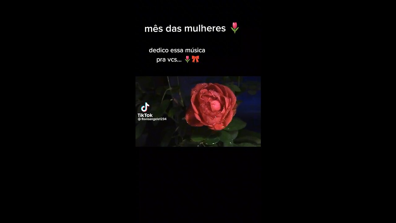 Dia das mulheres