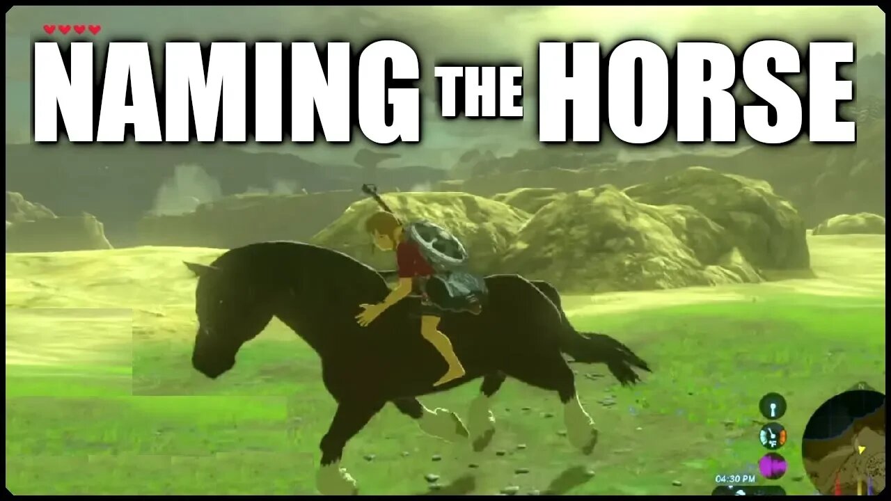 HORSE NAME IDEAS (giggle) | Breath of the Wild - YOU CHOOSE | Zelda BotW | Basement | S3E13