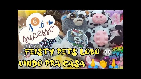 FEISTY PETS LOBO FICOU SOZINHO E RESOLVI PEGAR TBM👏👏👏