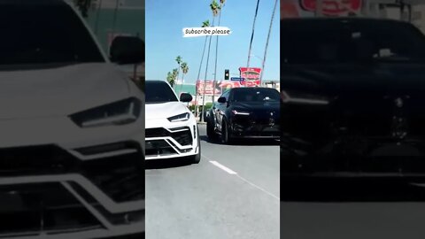 Lamborghini urus 🖤🤍 #onepercent_clubb #lamborghini #urus