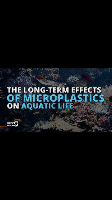 The Long-Term Effects of Microplastics on Aquatic Life