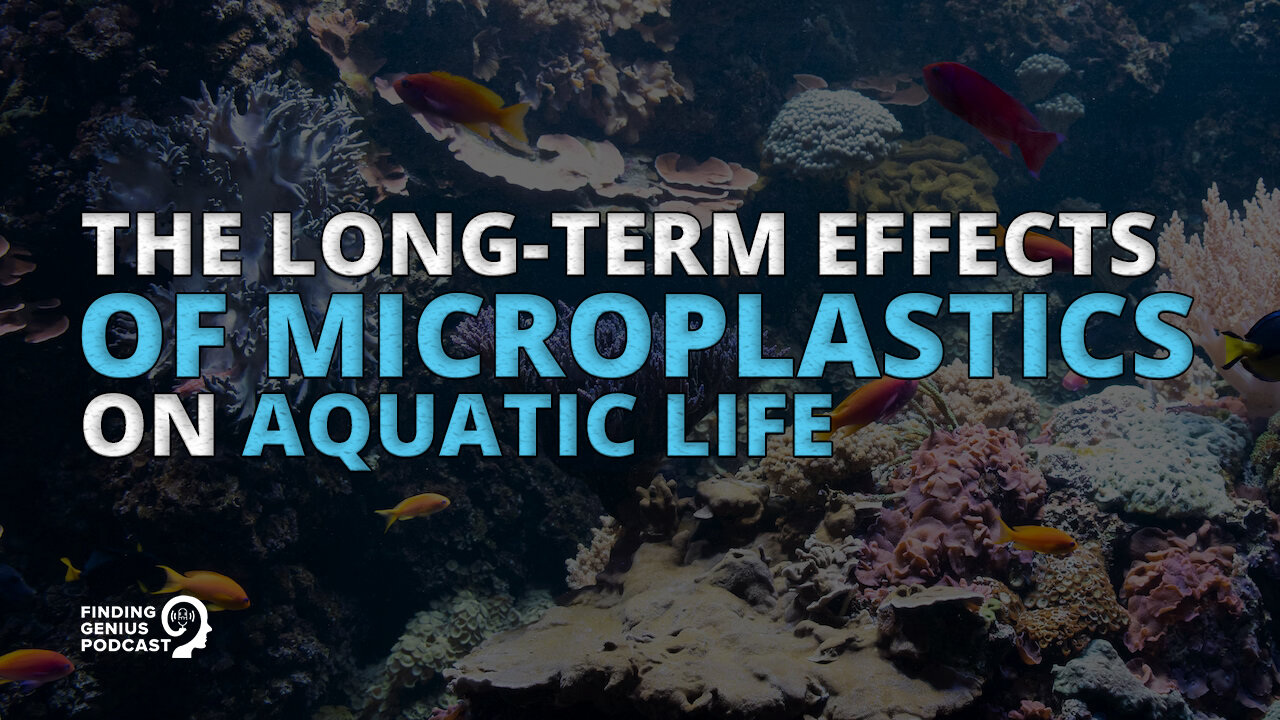 The Long-Term Effects of Microplastics on Aquatic Life