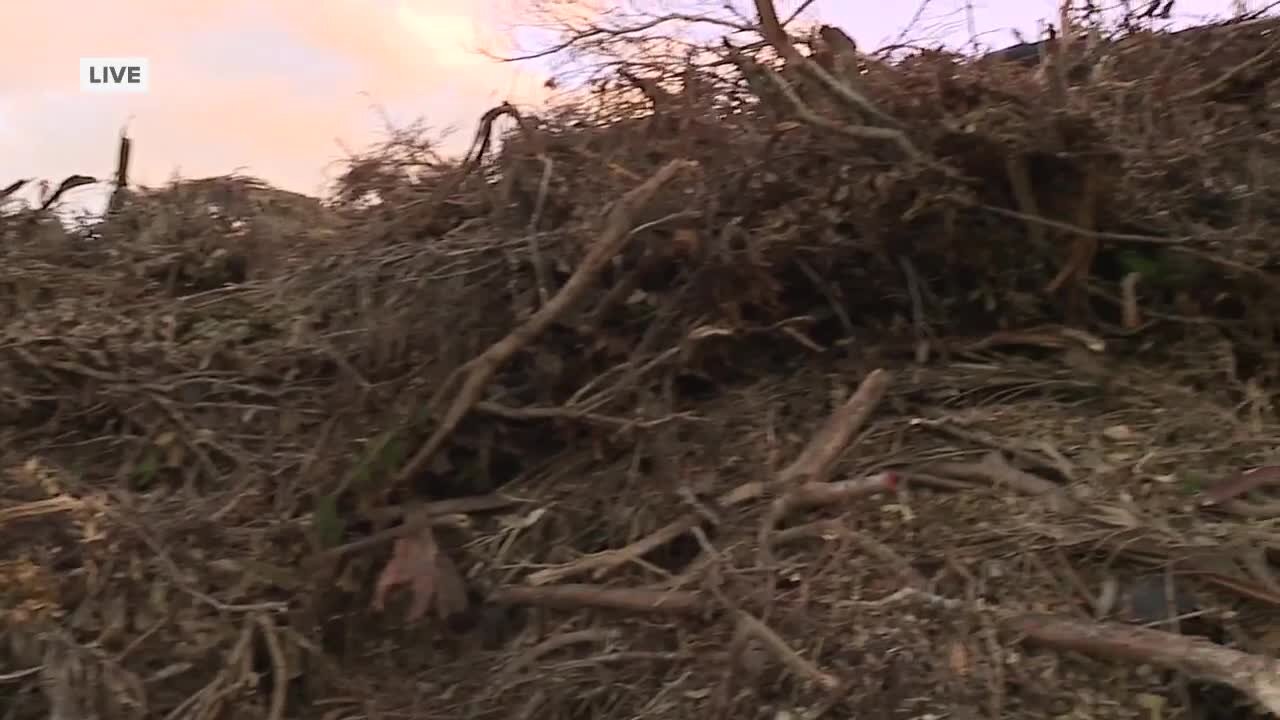 An Inside Look into the Debris Dumps in Southwest Florida