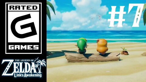 Legend of Zelda: Link's Awakening - Part 7 - The Road to Animal Village