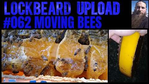 UPLOAD #062. Moving Bees