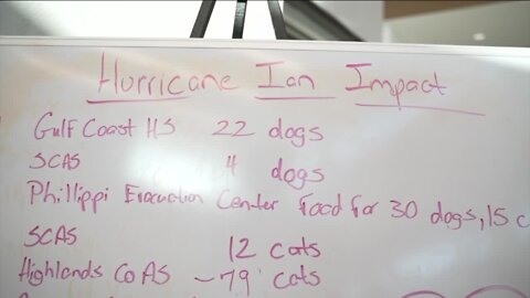 Humane Society of Sarasota County helps dogs and cats displaced by Hurricane Ian