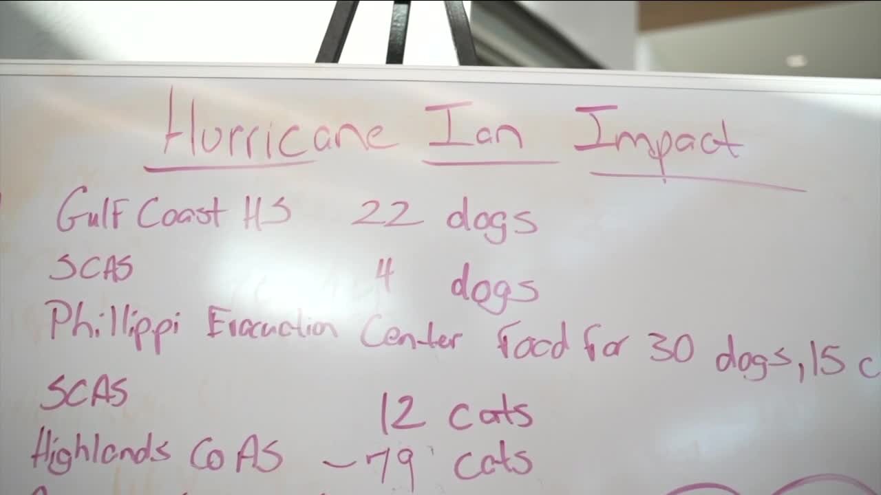 Humane Society of Sarasota County helps dogs and cats displaced by Hurricane Ian