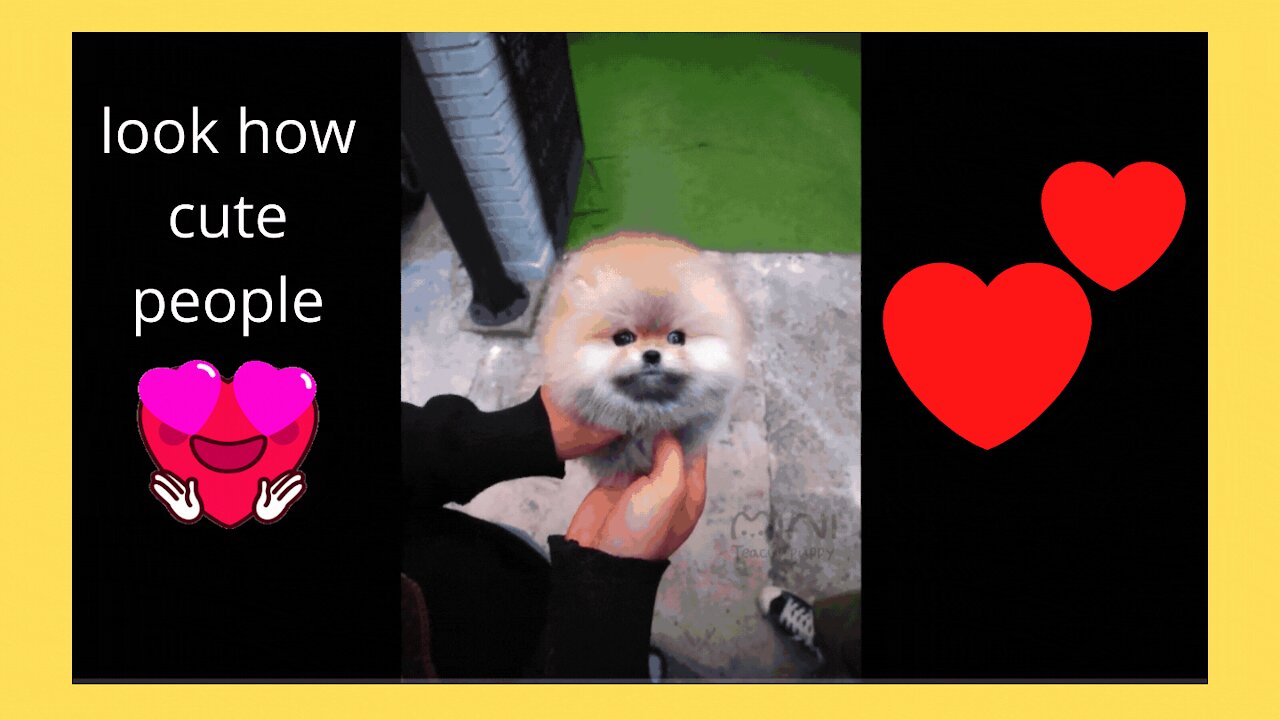 too cute