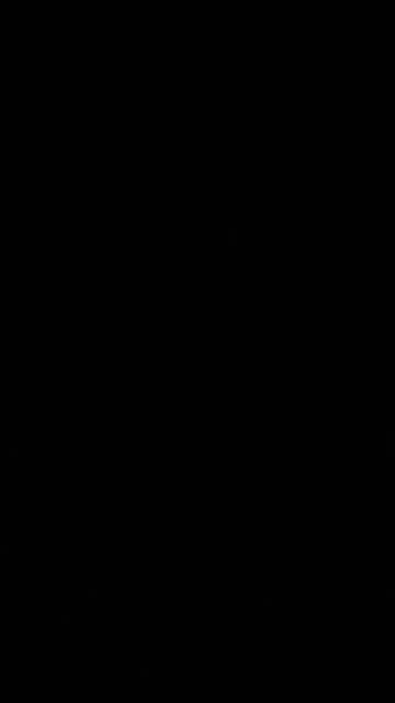 Communist destruction of America