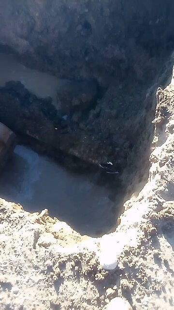 Make your father do all the work.