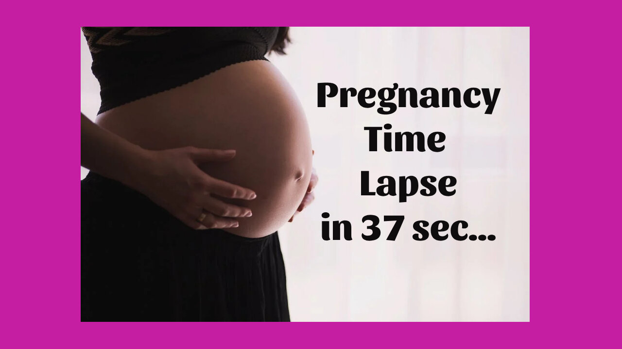 Pregnancy Time Lapse in 37 Sec