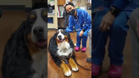 FIRST DAY BACK TO WORK AFTER COLON CANCER🙏🥰💟