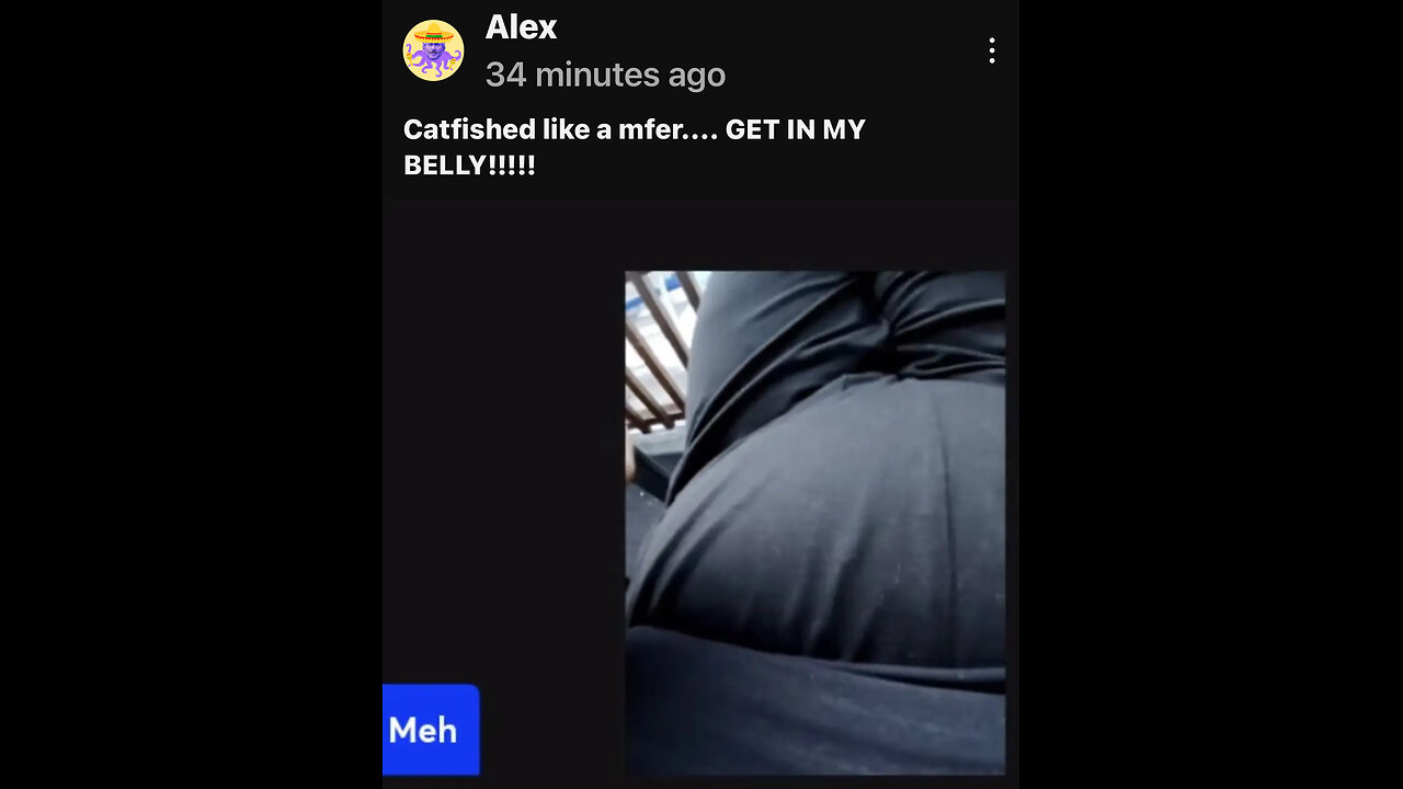 ALEX: 11/4/24-11/5/24