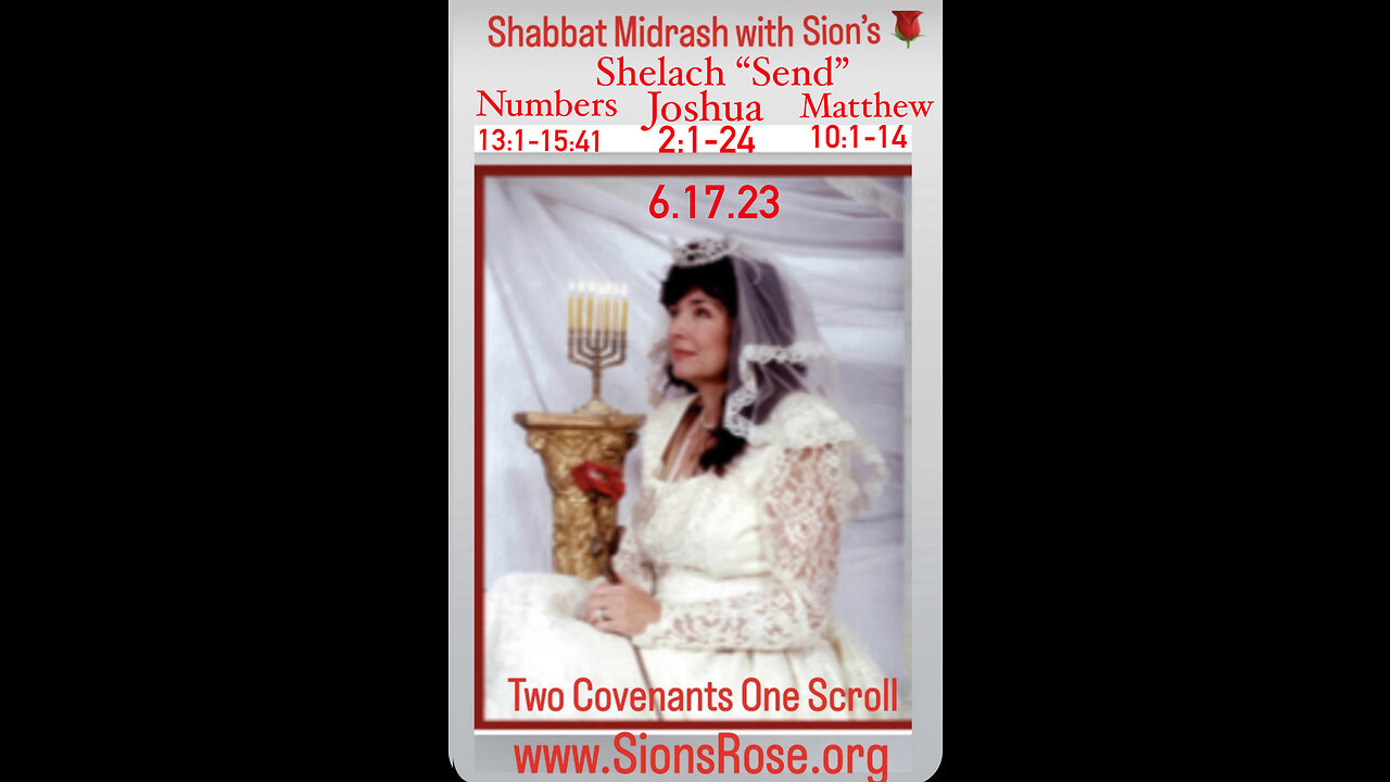 6.17.23 Shabbat Midrash with Sions Rose