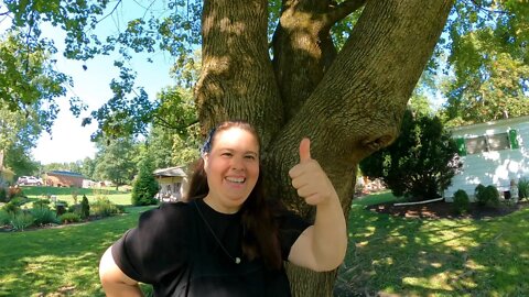 Climbing A Tree With Homestead TESSIE!