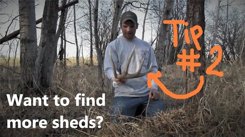 Shed Hunting 2022: Find More Antlers This Year