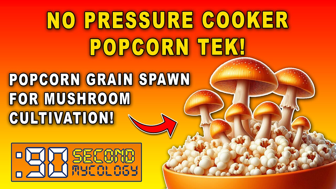 NO PRESSURE COOKER Popcorn Prep & Inoculation for Mushroom Grain Spawn!