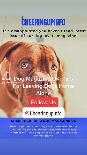 Dog Magazine UK: Tips For Leaving Dogs Home Alone