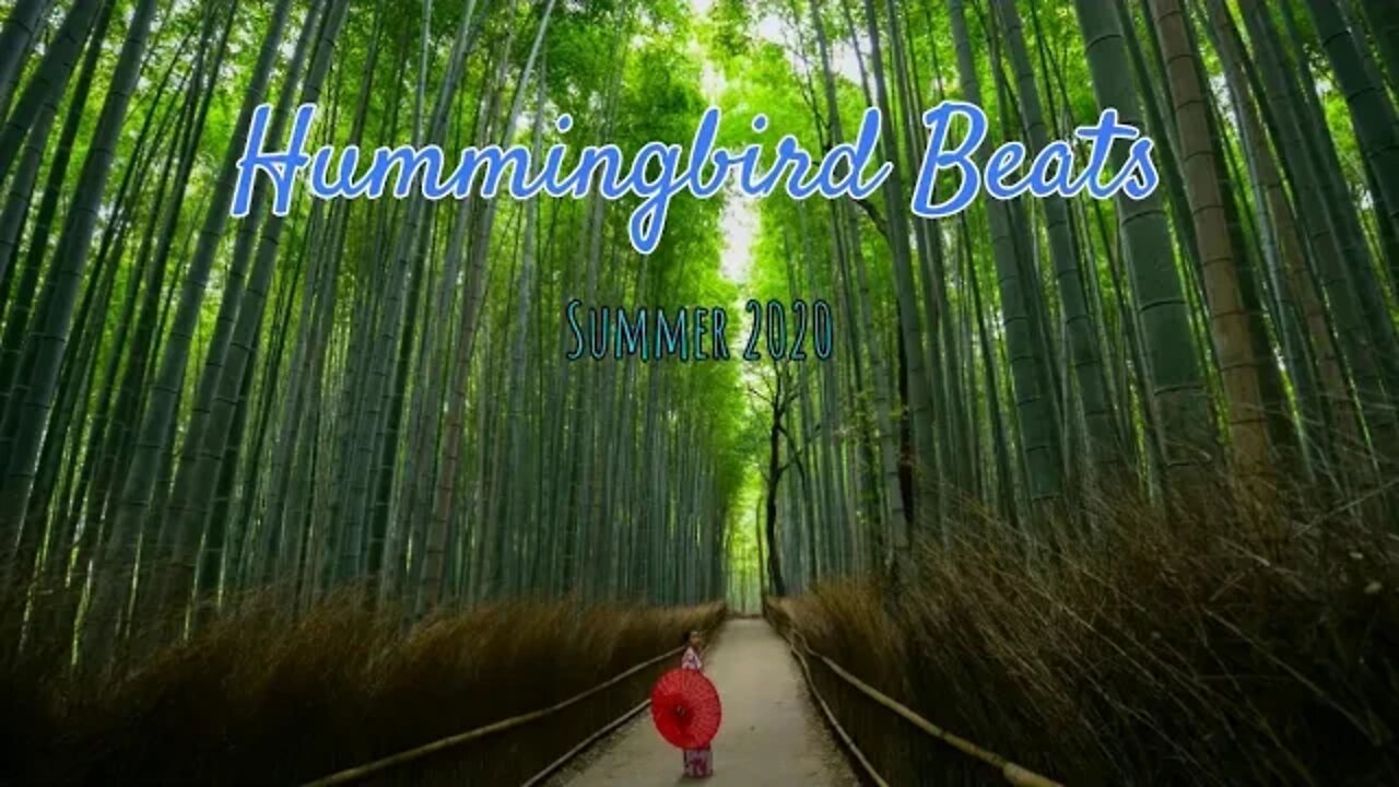 Fragile by A Himitsu Sweet Chill (No Copyright Music)