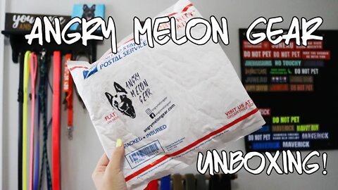 Angry Melon Gear Unboxing - New FastCAT Lure Coursing Set Up