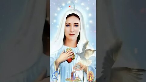 vídeos para Meditar Maria mãe de Deus e nossa Mãe