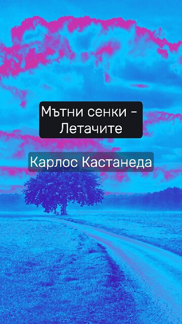 Защо нарекли мътните сенки Летачи / Карлос Кастанеда / "Активната страна на безкрайността"