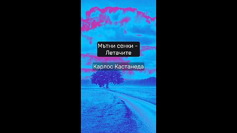 Защо нарекли мътните сенки Летачи / Карлос Кастанеда / "Активната страна на безкрайността"