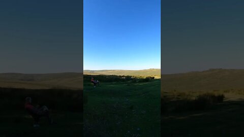 Sitting in the shade on.a hot day. Dartmoor . timelapse. GoPro Aug 2022