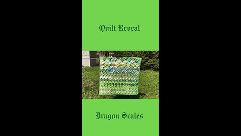 Dragon Scales 3D Prairie Point Quilt