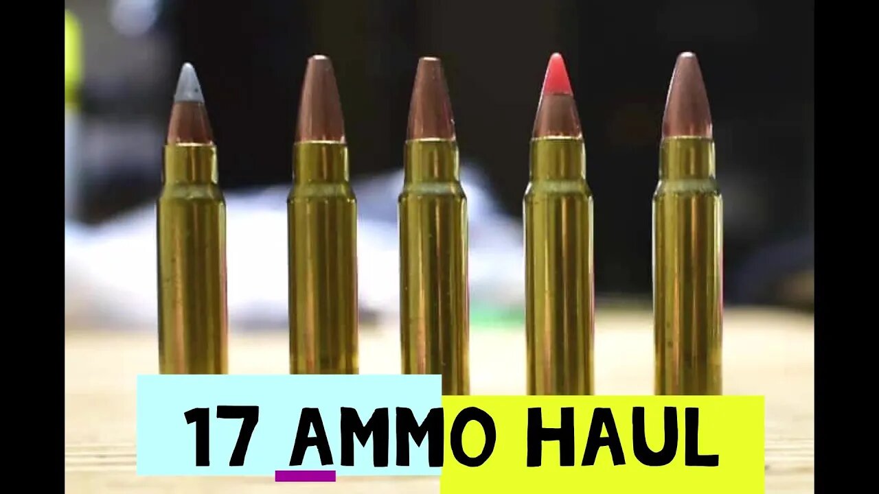 17hmr ammo haul