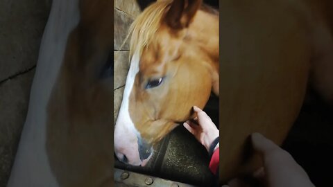 Meet Carter the sweetest stud ❤️