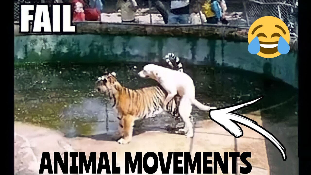 Funny animal movements 😅 #dogs #animal