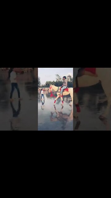 Job in Dubai | Job in saudi | Job in Kuwait | Job in Oman | Job in Qatar | Job in Bahrain #shorts