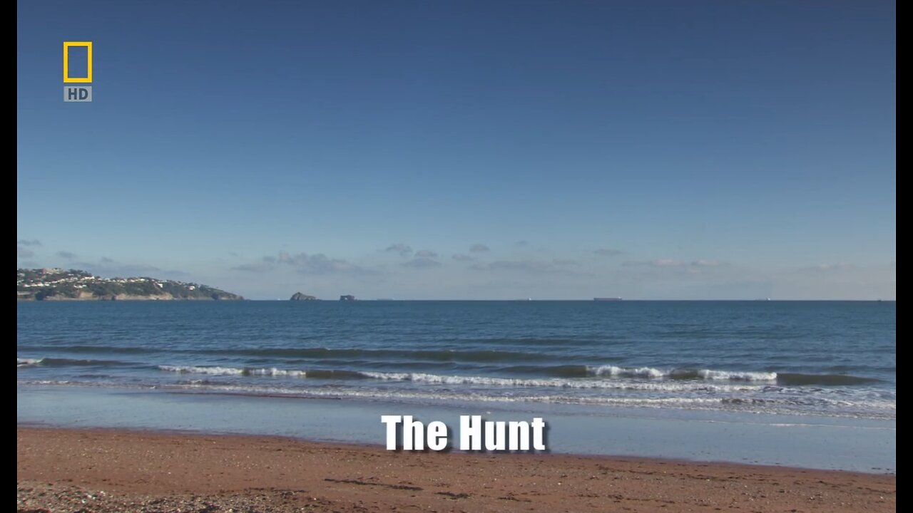 Convoy: War for the Atlantic.2of4.The Hunt (2009, 720p HD Documentary)