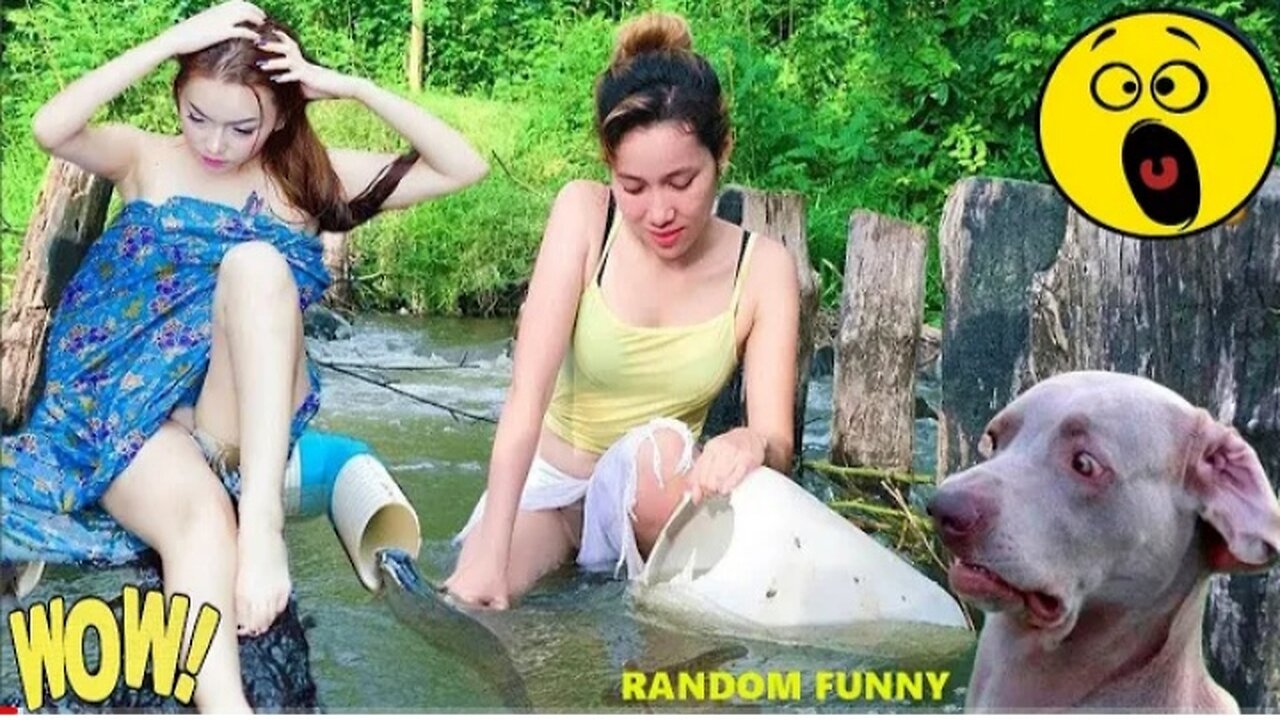 Random funny videos | try not to laugh compilation