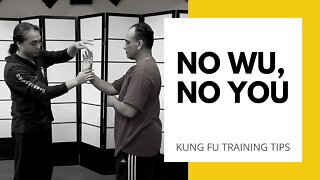 Wing Chun Training | Wu Sao | Default Hand | Kung Fu Online