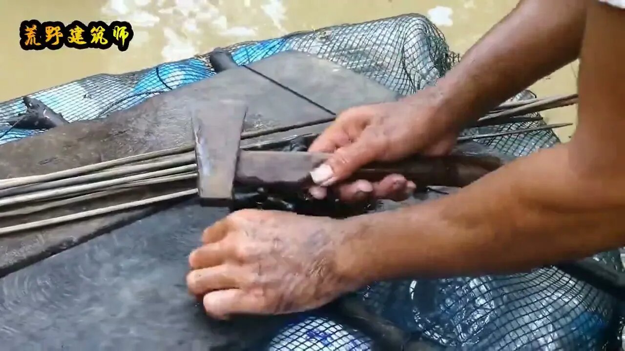 5: The Amazonian swamp forest, the environment is so harsh that people s scalp is numb