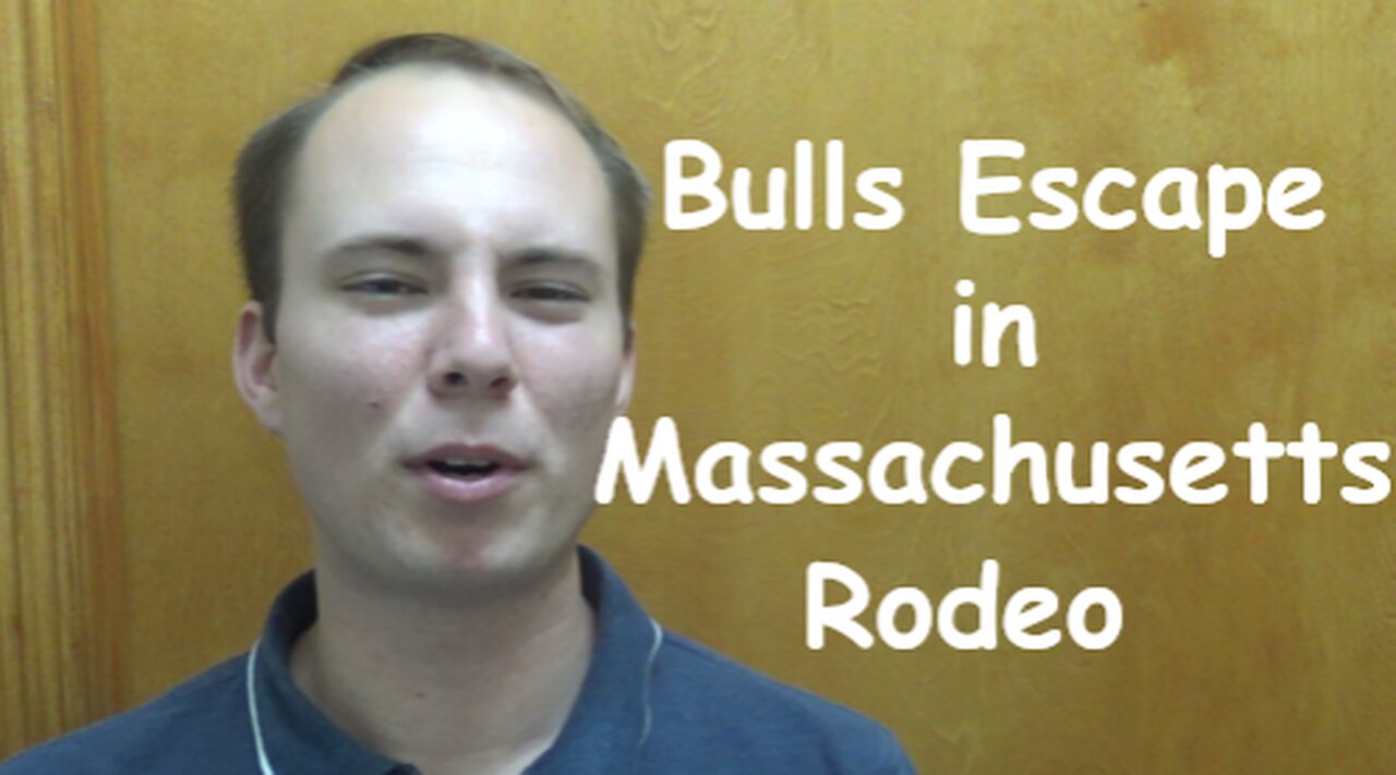 Bulls Escape in Massachusetts Rodeo