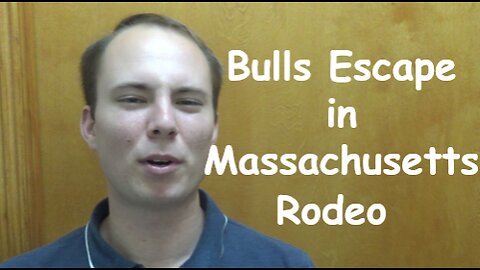 Bulls Escape in Massachusetts Rodeo