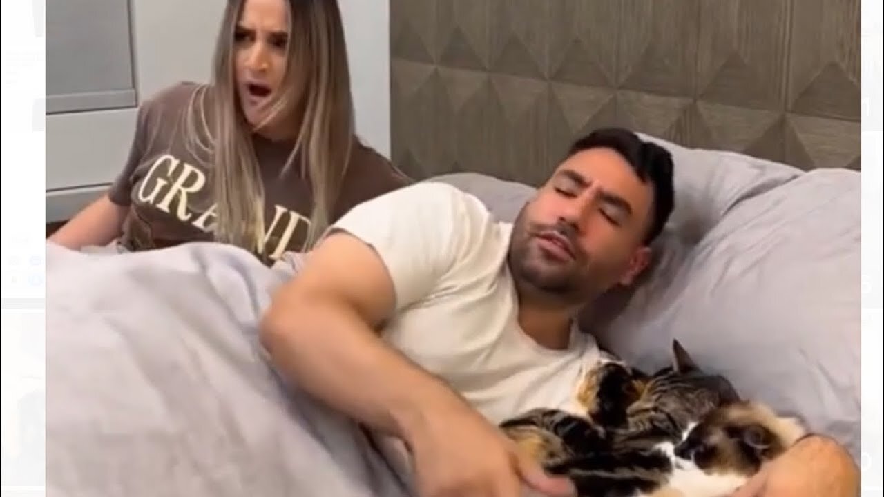 PROOF THAT MY CATS ARE HUMAN